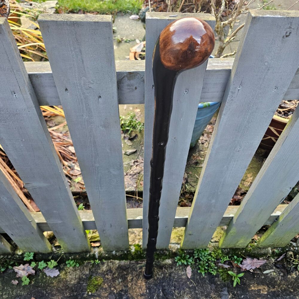 IRISH BLACKTHORN WALKING STICK 702al