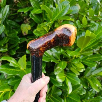 Unique Irish blackthorn walking stick 704ew