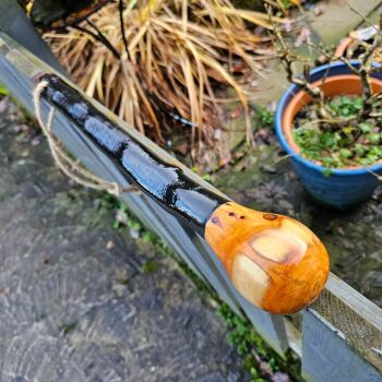 IRISH BLACKTHORN SHILLELAGH CUDGEL 905EW