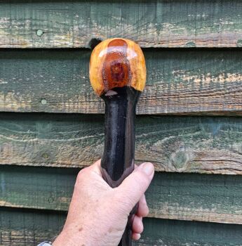 IRISH BLACKTHORN CUDGEL 19 INCHES LONG 706EW