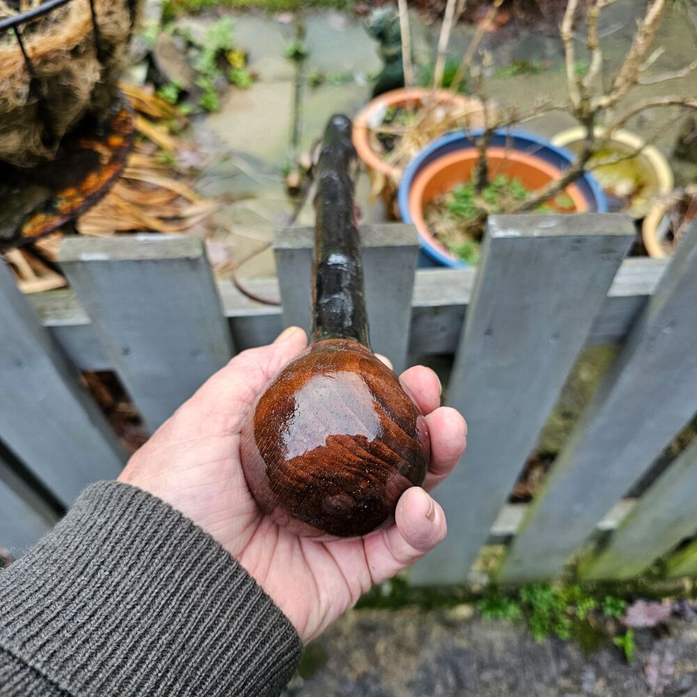 IRISH BLACKTHORN CUDGEL 18 INCHES LONG  708EW