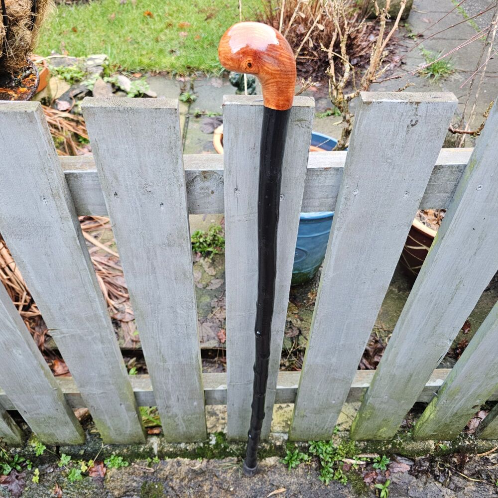 IRISH BLACKTHORN WALKING STICK WITH A BURL ELM HANDLE 40 inches 710ew