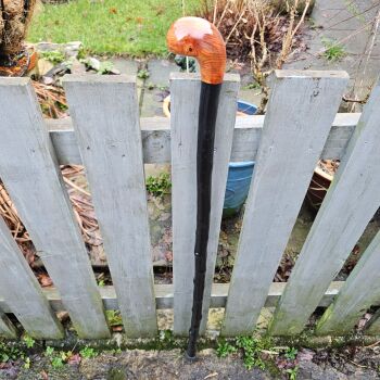 IRISH BLACKTHORN WALKING STICK WITH A BURL ELM HANDLE 40 inches 710ew
