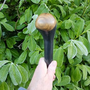 IRISH ASH WALKING STICK 714AL