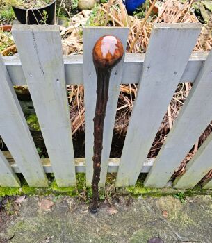 IRISH BLACKTHORN WALKING STICK 38 inches 716al