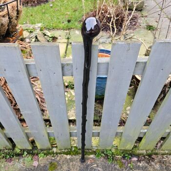 IRISH BLACKTHORN WALKING STICK 718AL