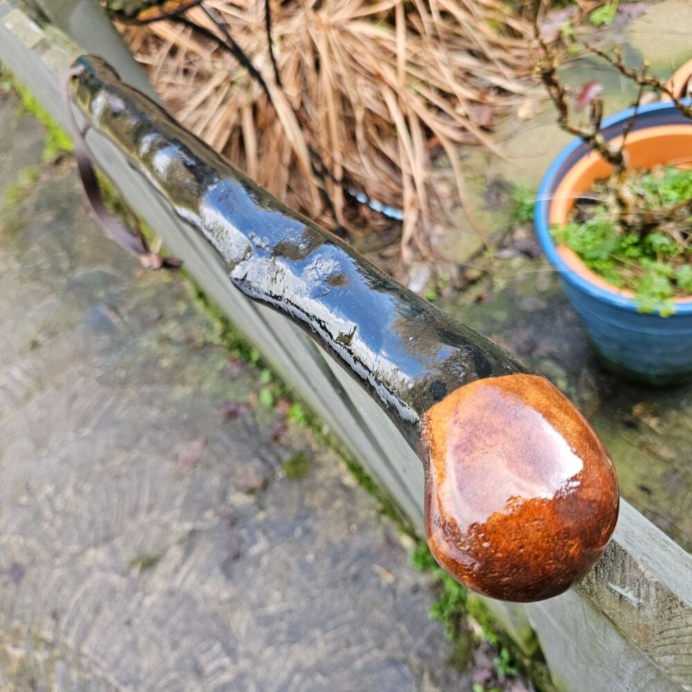 IRISH BLACKTHORN CUDGEL 20 INCHES LONG