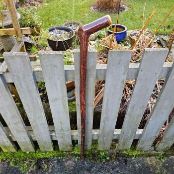 IRISH BLACKTHORN HIKING STICK 44 INCHES LONG 720EW