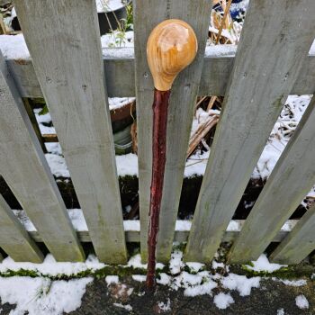 IRISH BLACKTHORN WALKING STICK 721al