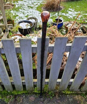 IRISH BLACKTHORN HIKING STICK 46 INCHES LONG 723EW