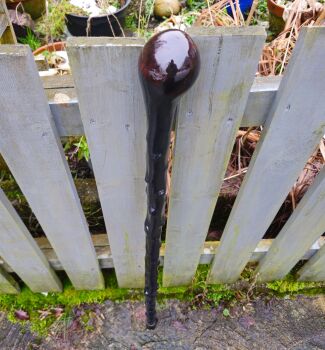 IRISH BLACKTHORN WALKING STICK 724AL
