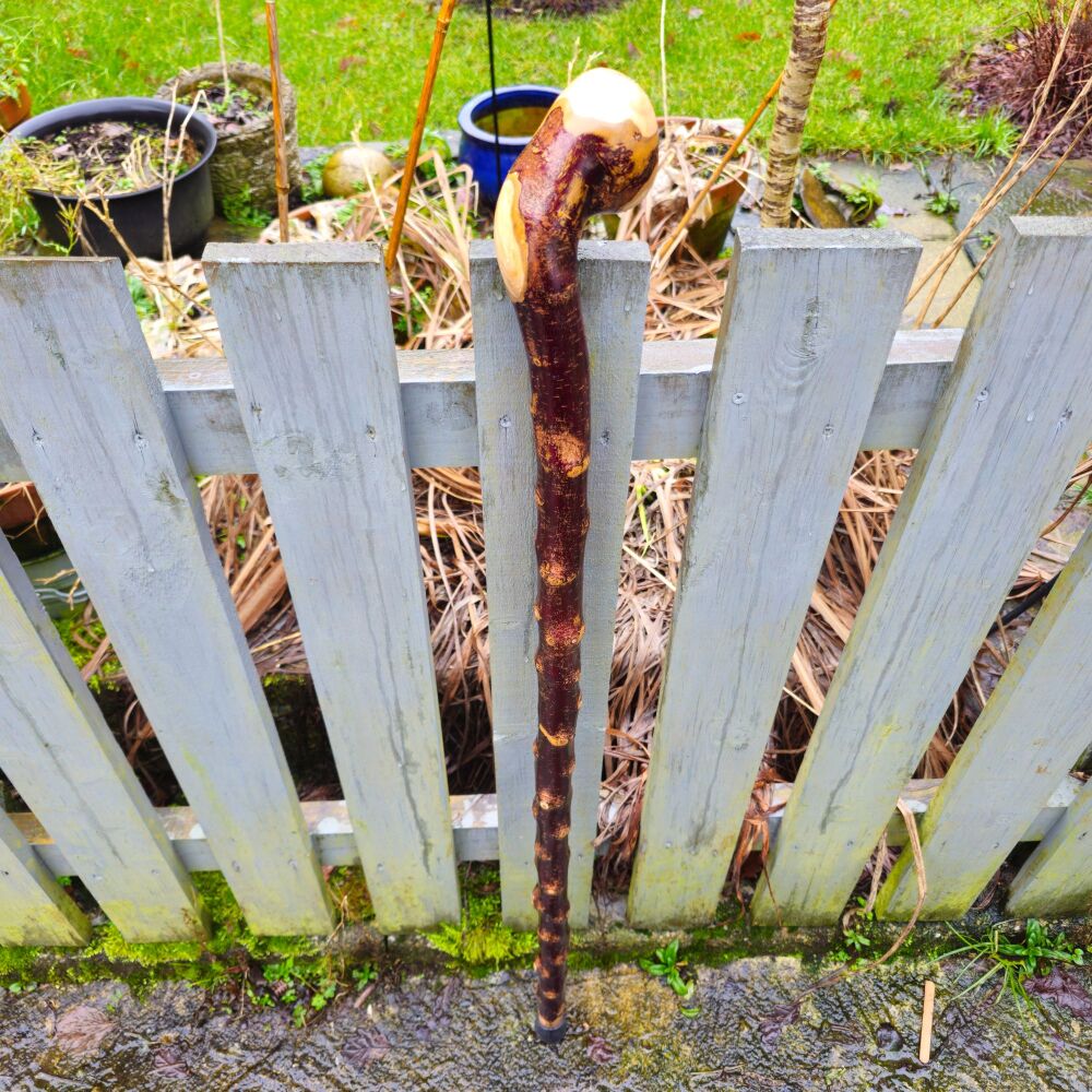 A heavy Irish blackthorn walking stick al729al