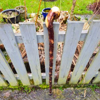 A heavy Irish blackthorn walking stick al729al