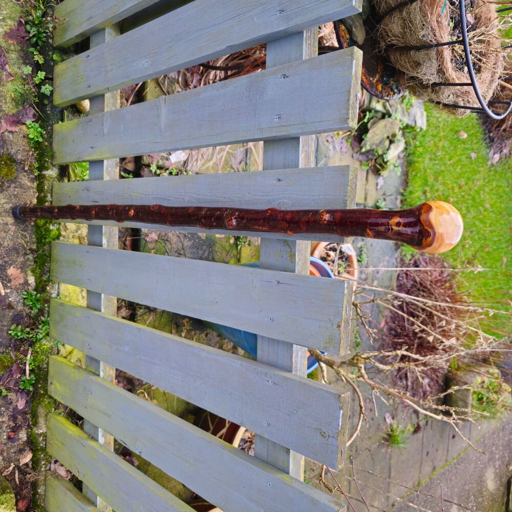 IRISH BLACKTHORN WALKING STICK 38 inches long