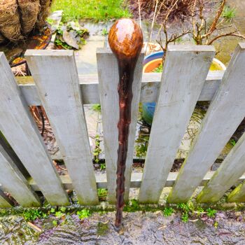A STUNNING IRISH BLACKTHORN WALKING STICK 40 INCHES LONG  740AL