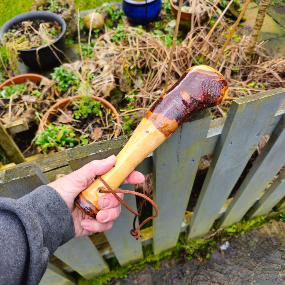 IRISH BLACKTHORN CUDGEL a very unique little thumper