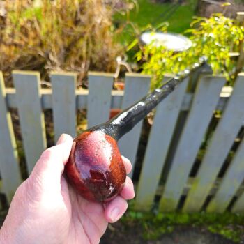 IRISH WHITETHORN WALKING STICK 40 INCHES LONG