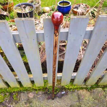 40 inch Irish hazel walking stick 743ew