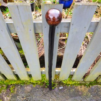 IRISH BLACKTHORN WALKING STICK  744ew