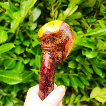 IRISH BLACKTHORN CUDGEL 748ew