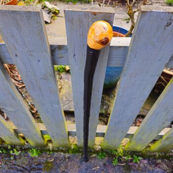 IRISH BLACKTHORN WALKING STICK knob stick 750ew
