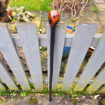 40 INCH IRISH BLACKTHORN WALKING STICK 752EW