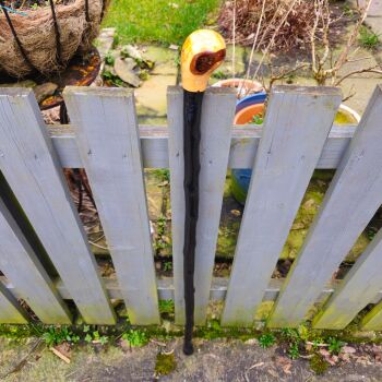 IRISH BLACKTHORN WALKING STICK 753ew