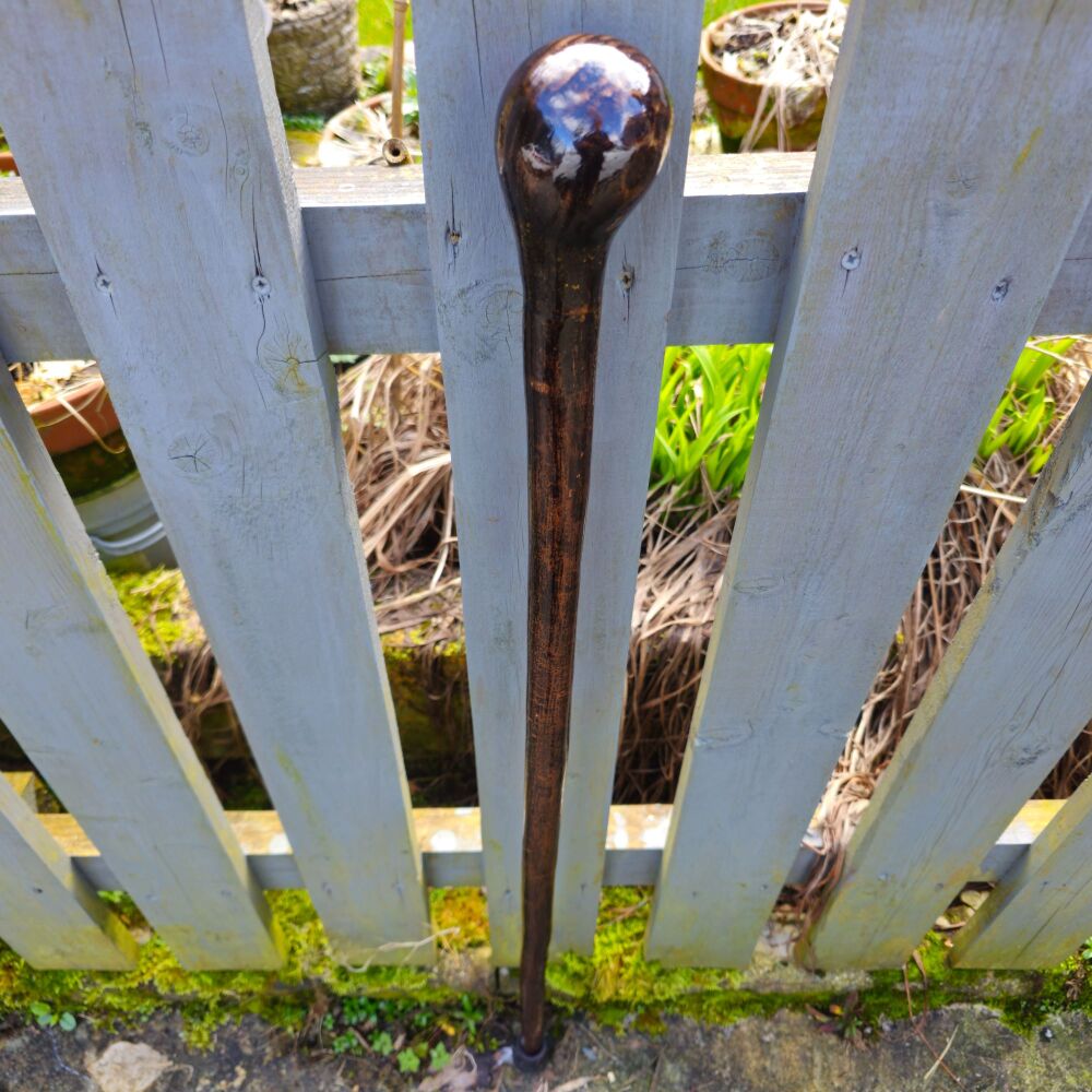 IRISH hazel walking stick 758al