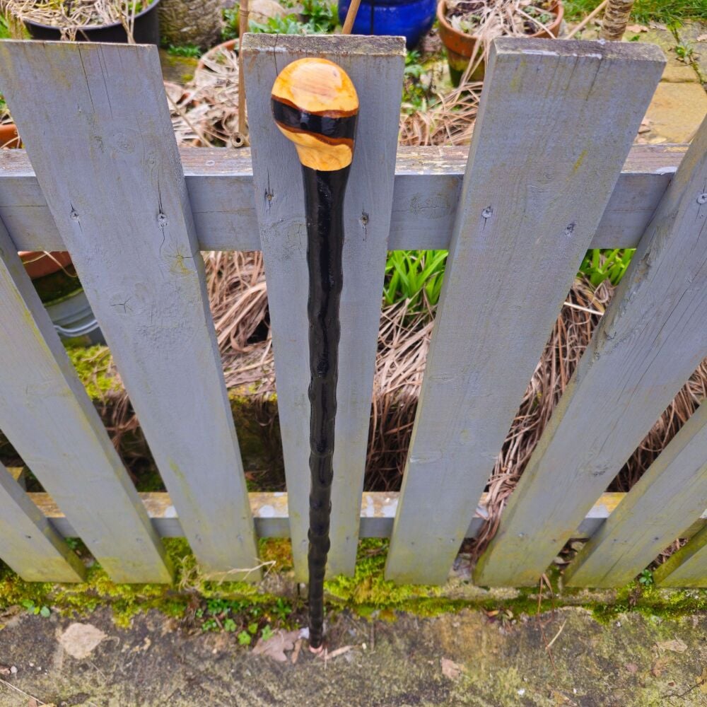IRISH BLACKTHORN WALKING STICK