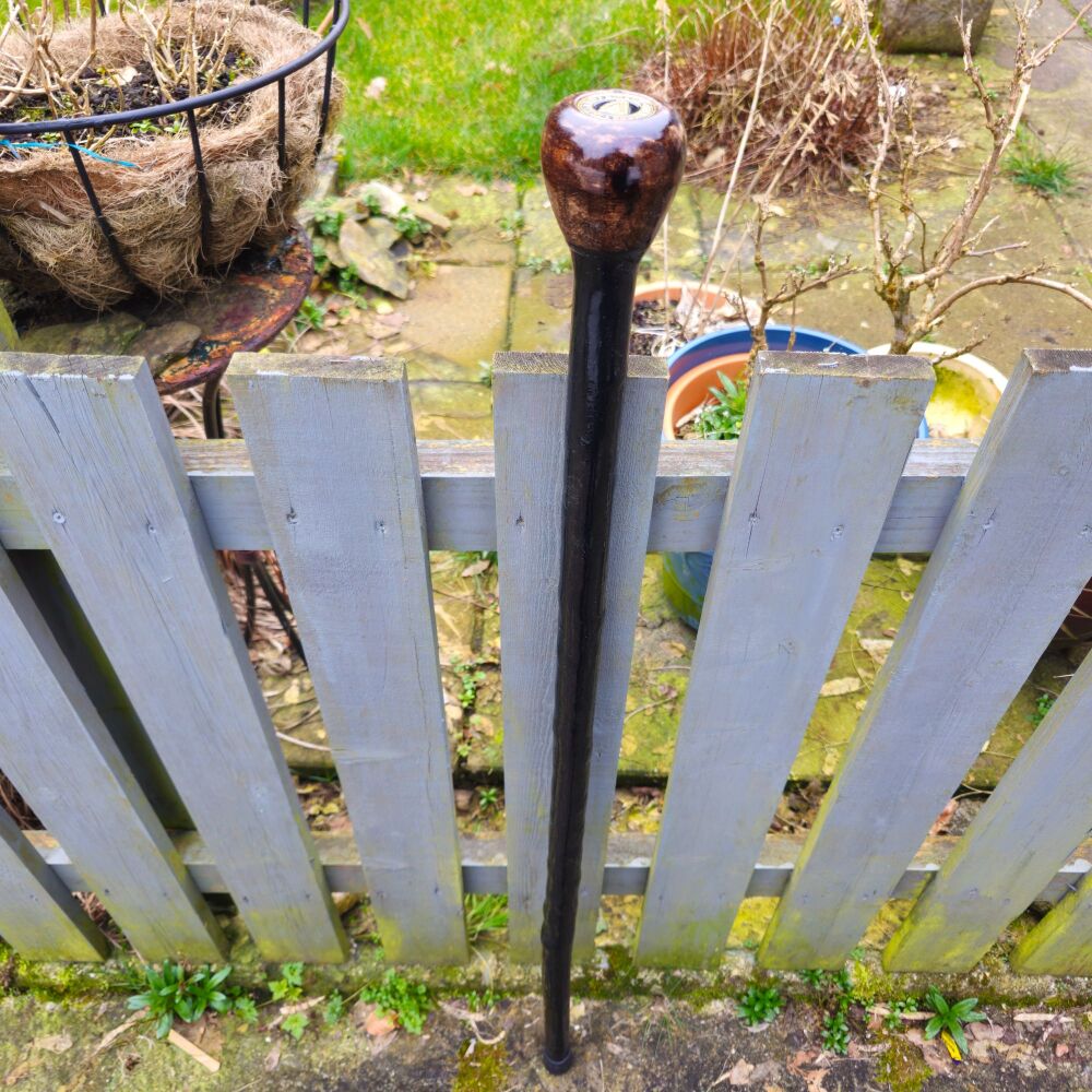 IRISH BLACKTHORN WALKING STICK WITH embedded IRISH COIN 760ew