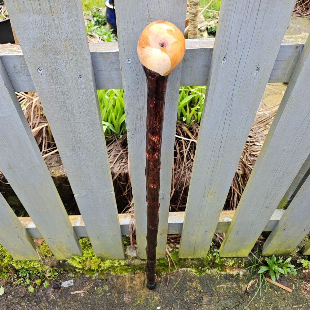 IRISH HAWTHORN whitethorn walking stick with an Irish yew handle 763al