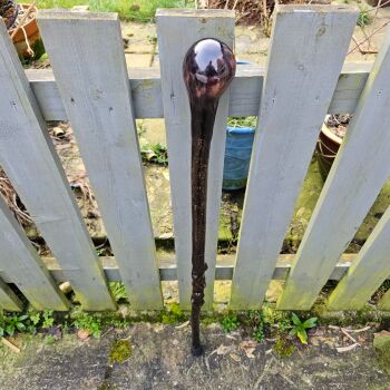 IRISH Holly walking stick with a Chilean beech handle al23