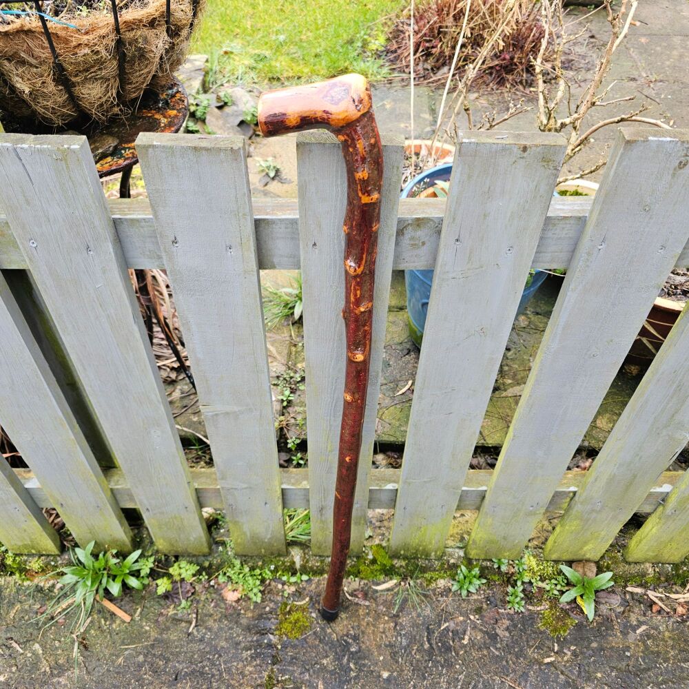 IRISH BLACKTHORN WALKING STICK 768ew