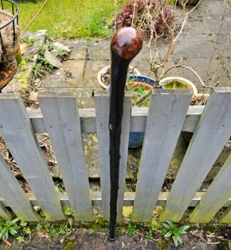 IRISH BLACKTHORN WALKING STICK 44 INCHES LONG 770LF