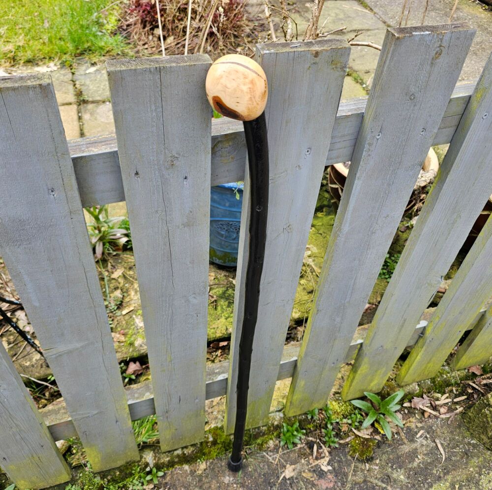 TRADITIONAL IRISH BLACKTHORN WALKING STICK 771EW