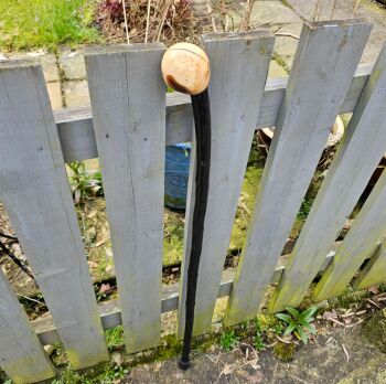 TRADITIONAL IRISH BLACKTHORN WALKING STICK 771EW