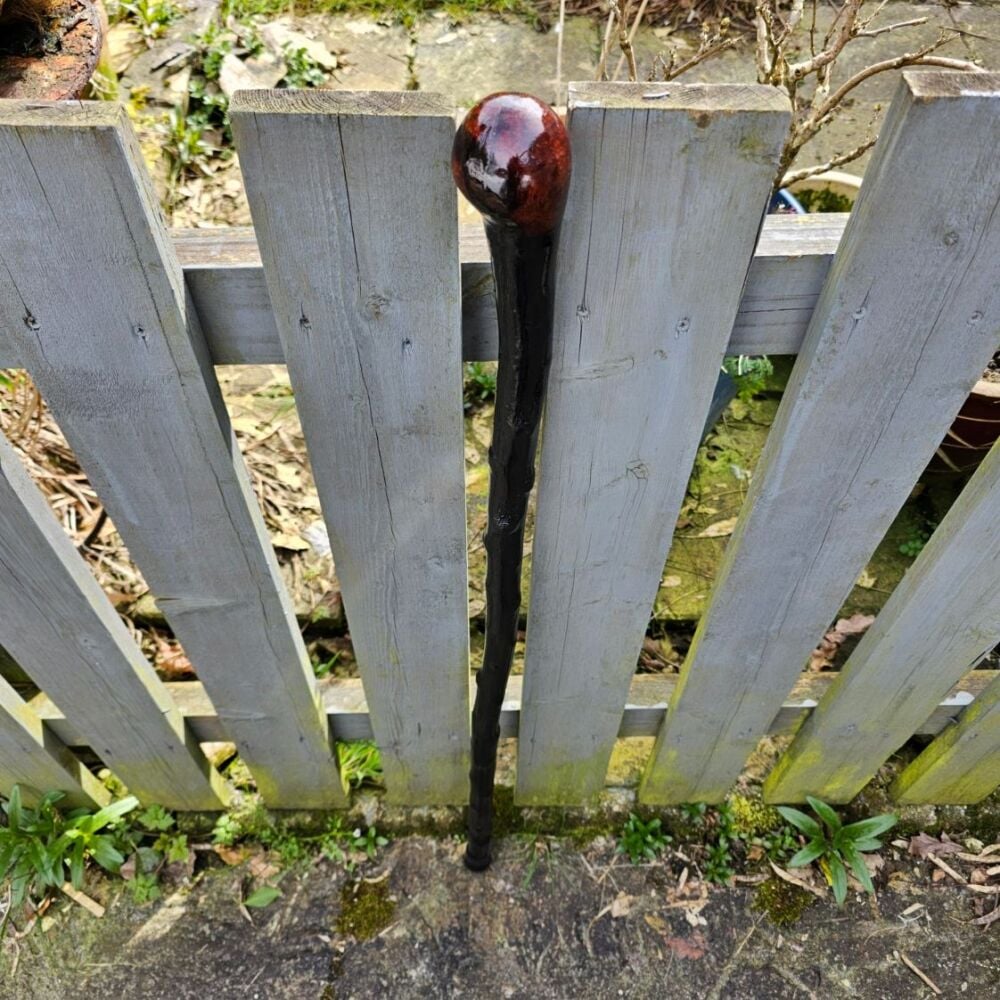 IRISH BLACKTHORN WALKING STICK 772EW