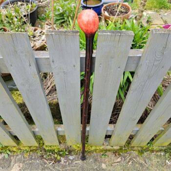 40 INCH IRISH BLACKTHORN WALKING STICK 774AL