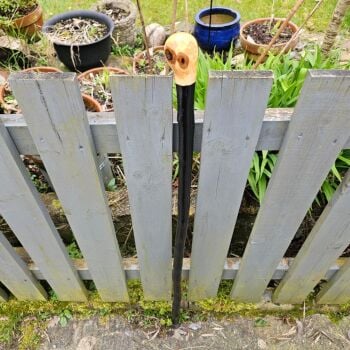 IRISH BLACKTHORN WALKING STICK 776EW