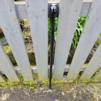 IRISH BLACKTHORN WALKING STICK SHORT 34 INCHES 777EW