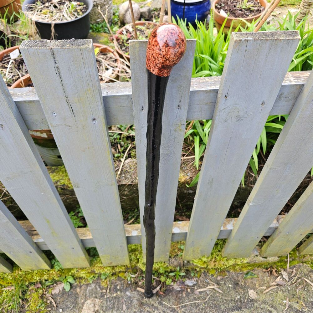 IRISH BLACKTHORN WALKING STICK 778EW