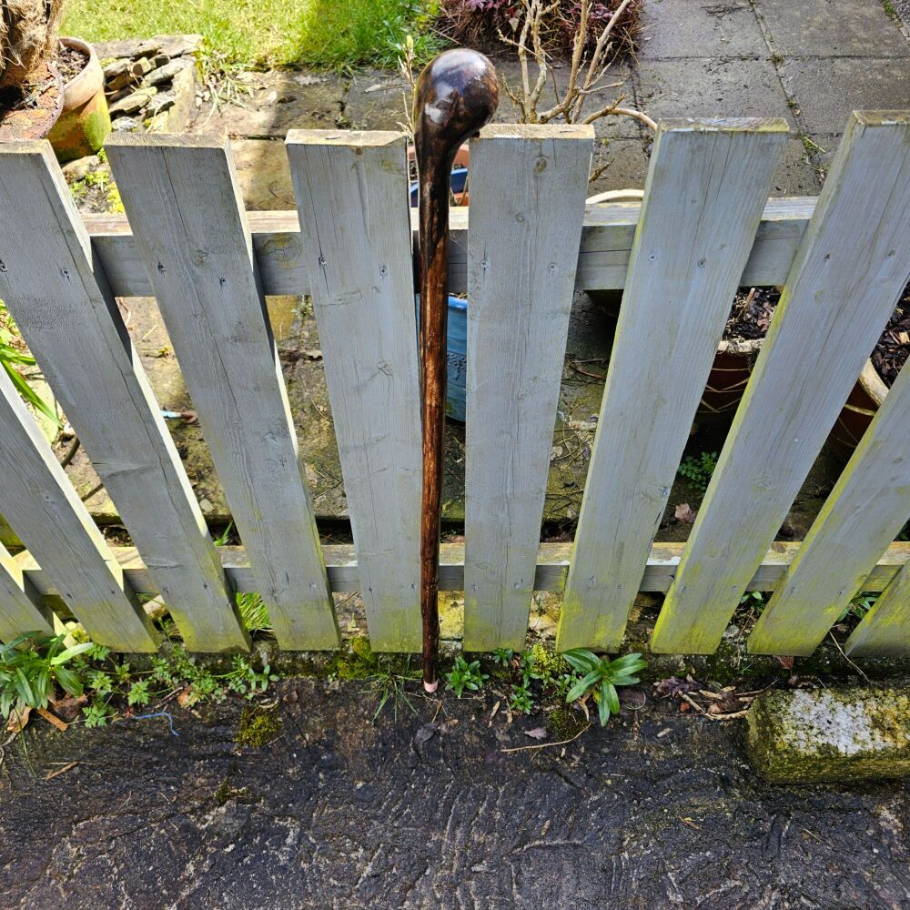 IRISH HAZEL WALKING STICK WITH AN IRISH ASH HANDLE 782EW