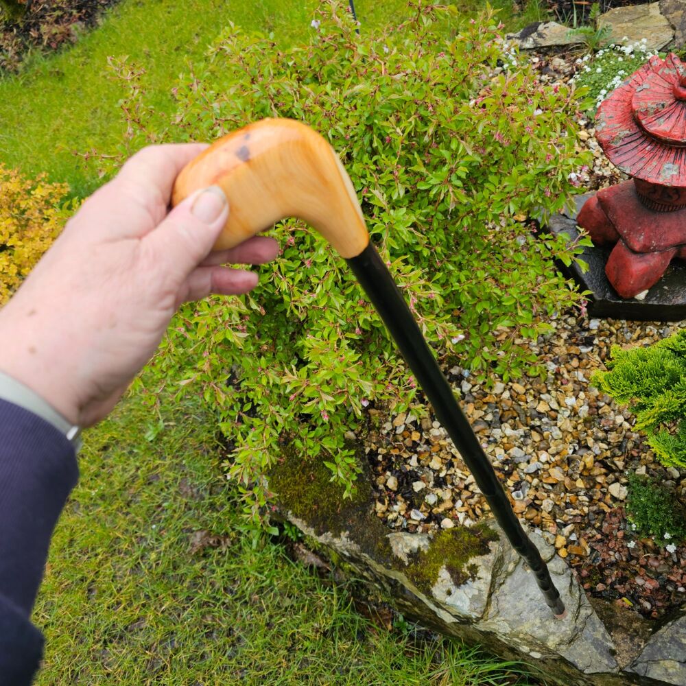 IRISH BLACKTHORN WALKING STICK WITH AN IRISH YEW HANDLE 785EW