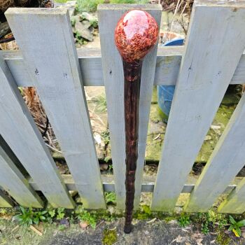 IRISH GORSE WALKING STICK WITH AN IRISH BURL ELM HANDLE 788AL