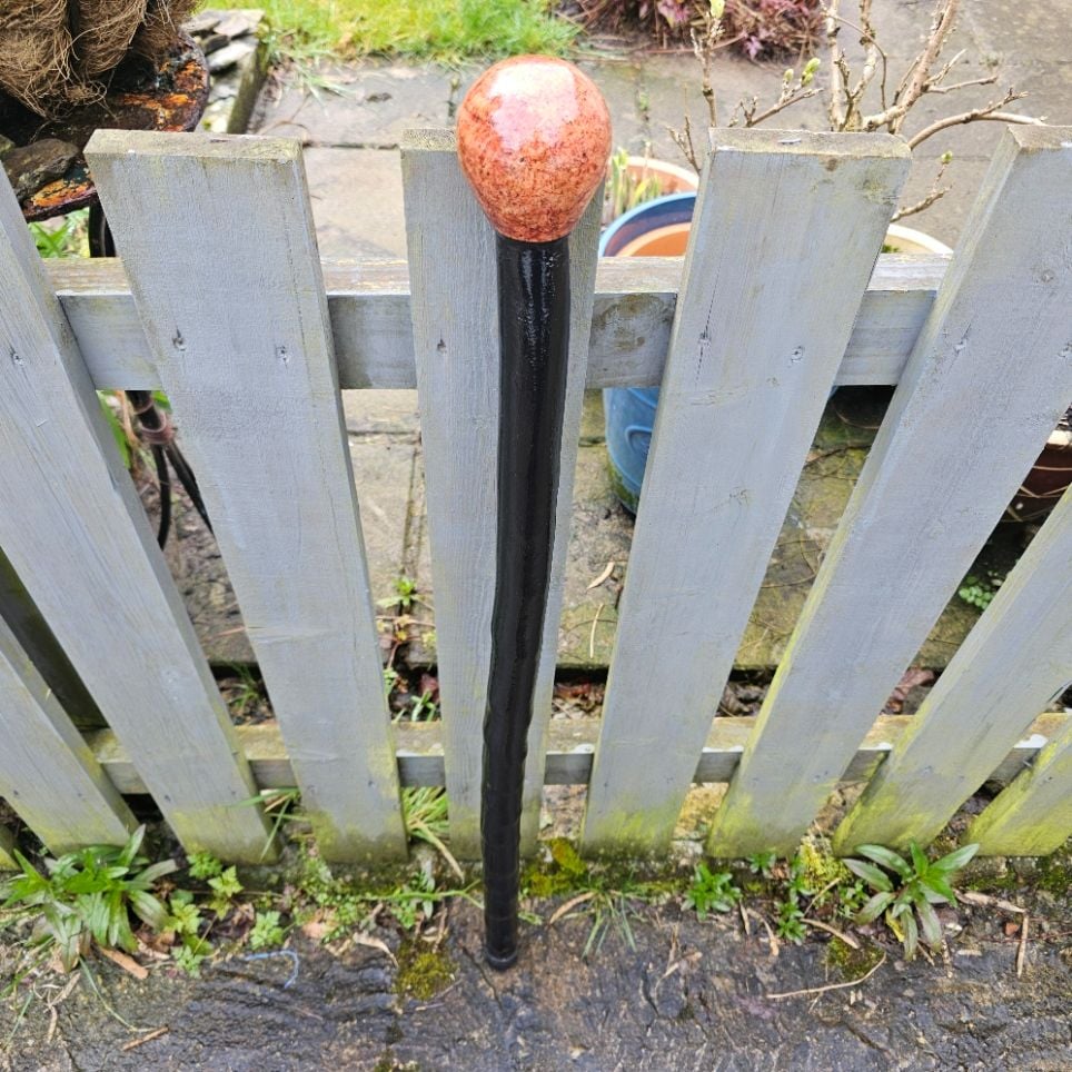 HEAVY IRISH BLACKTHORN WALKING STICK WITH A BURL ELM HANDLE 789EW