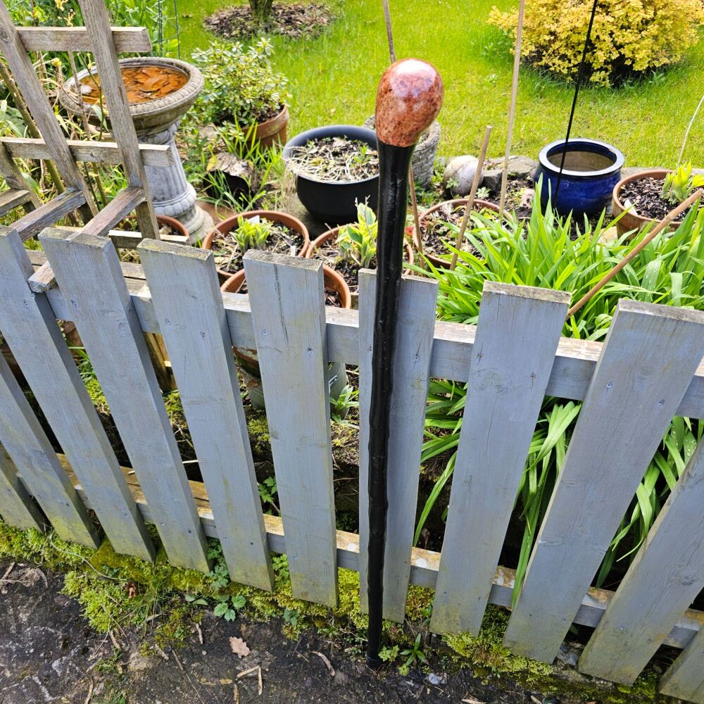 IRISH BLACKTHORN WALKING STICK WITH A BURL ELM HANDLE791EW