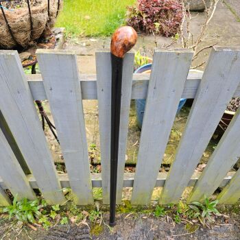 IRISH ASH WALKING STICK 792ew