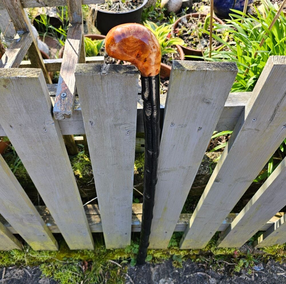 IRISH BLACKTHORN WALKING STICK WITH A BURL ELM HANDLE