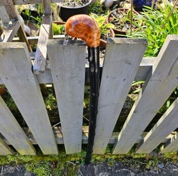 IRISH BLACKTHORN WALKING STICK WITH A BURL ELM HANDLE 793ew