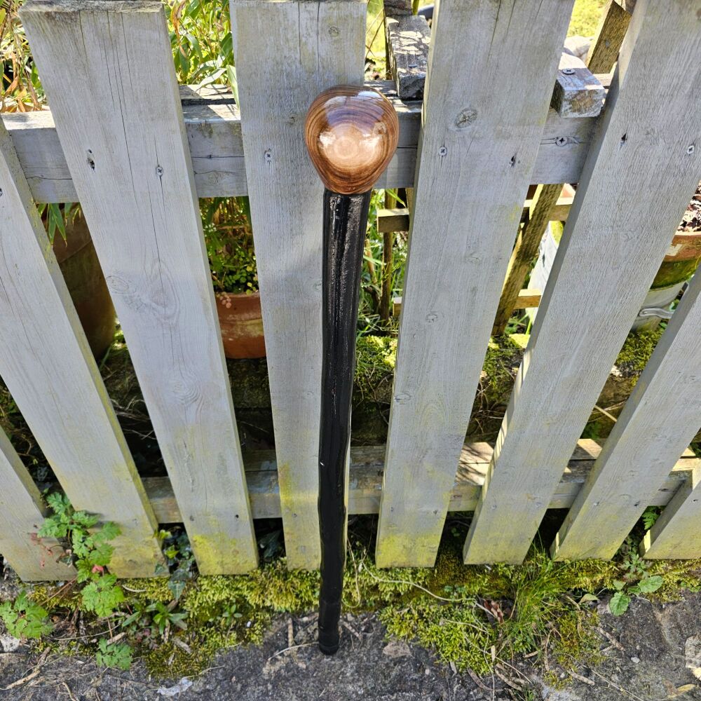 IRISH BLACKTHORN WALKING STICK WITH A black walnut handle